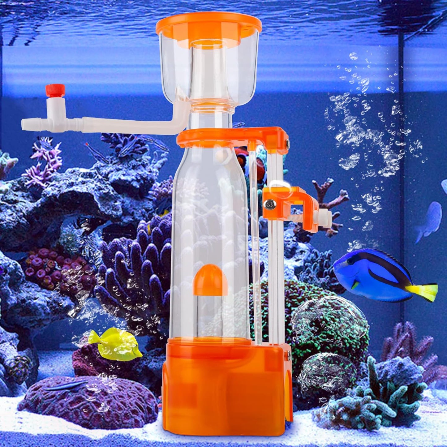 Hygger Internal Mini Protein Skimmer