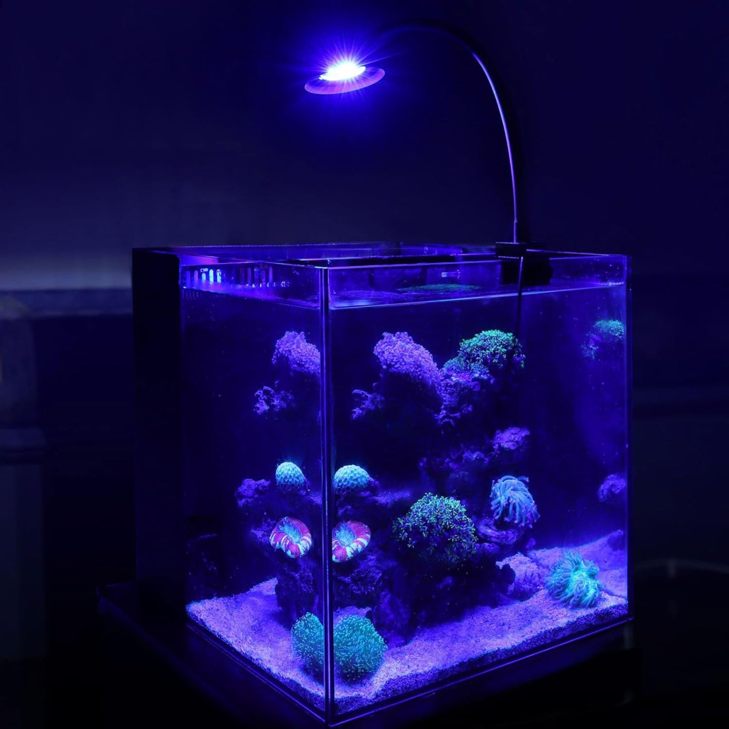 Hygger Marine Clip On LED Light