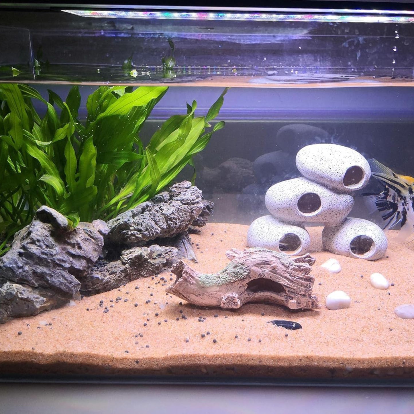 Hygger Unique Fish Tank Decorations