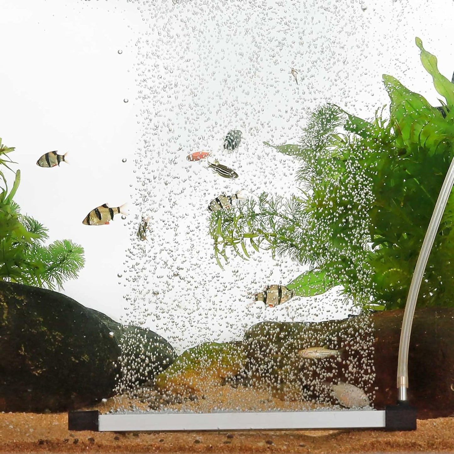 Hygger Aquarium Aeration Strip 8-inches Kit
