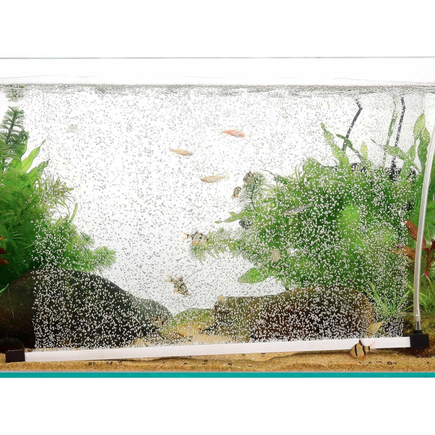 Hygger Aquarium Aeration Strip 8-inches Kit