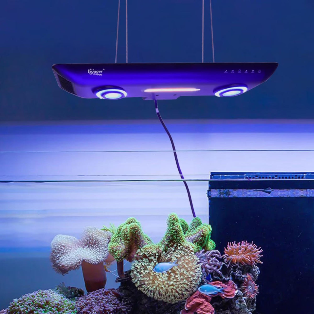 Coral Reef LED Light with App Control 200W