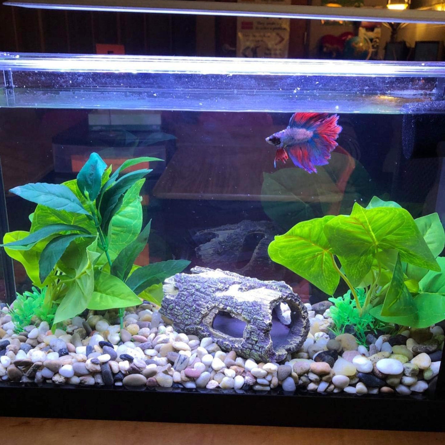 Hygger Fish Aquarium Decorations