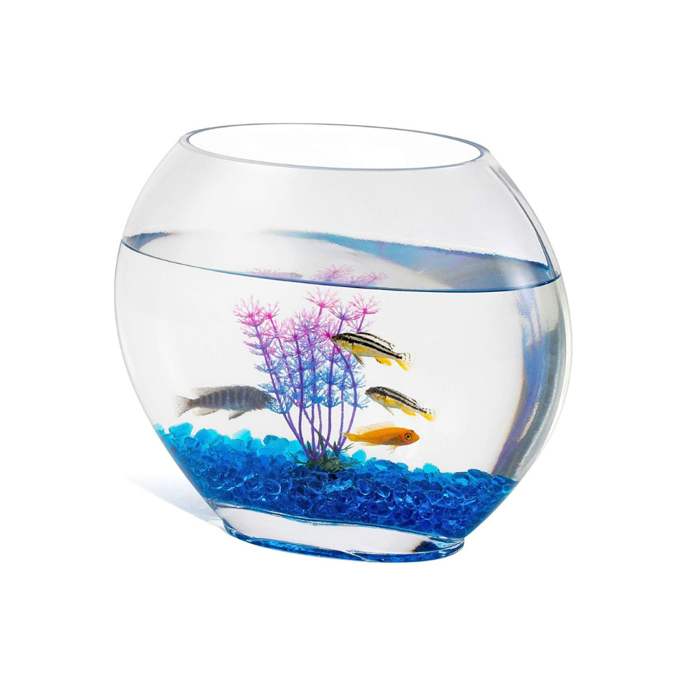 Hygger Mini Glass Oblate Fish Bowl Kit